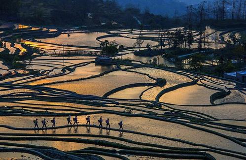 旅游规划化师